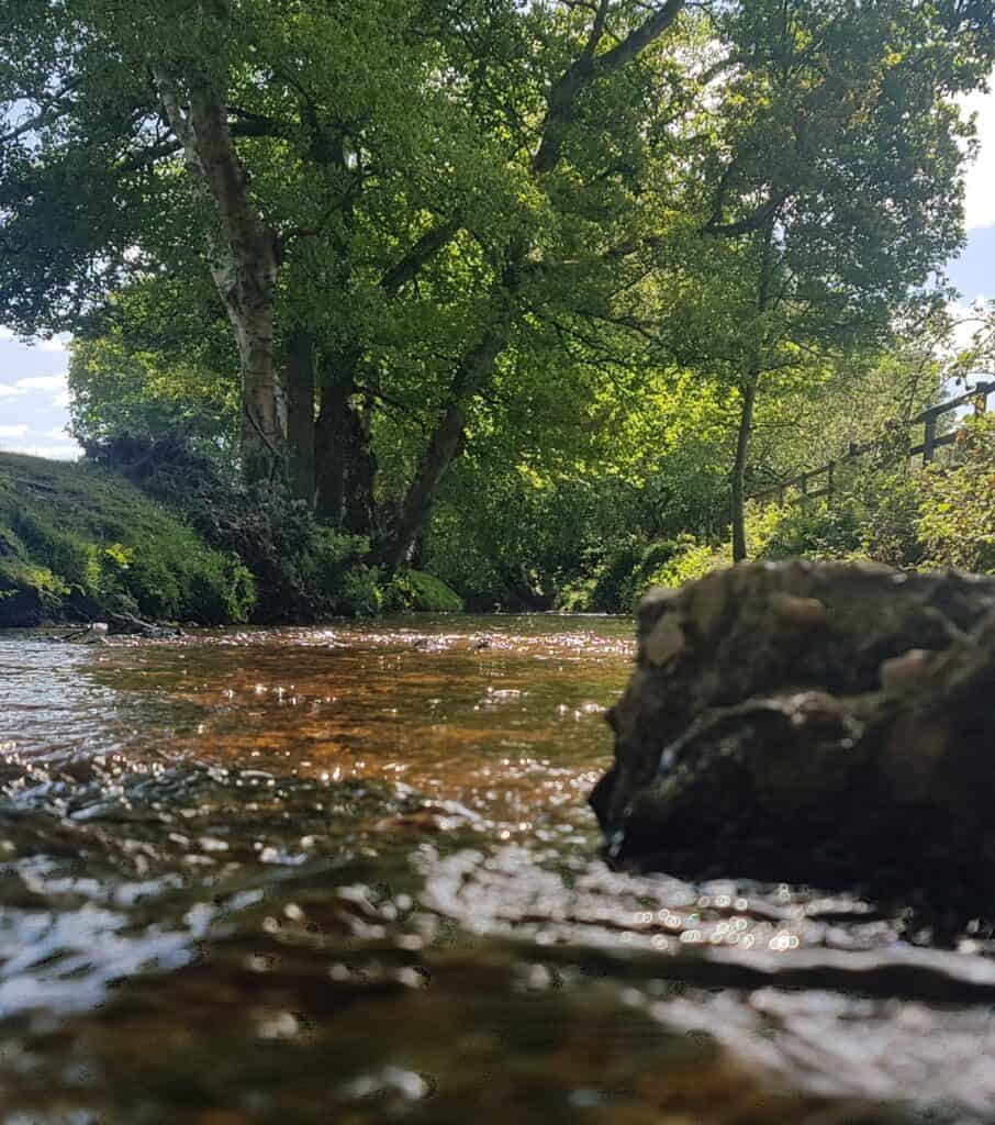 Calm river flowing through Dorset landscape – symbolising clarity and direction in life coaching based in Poole